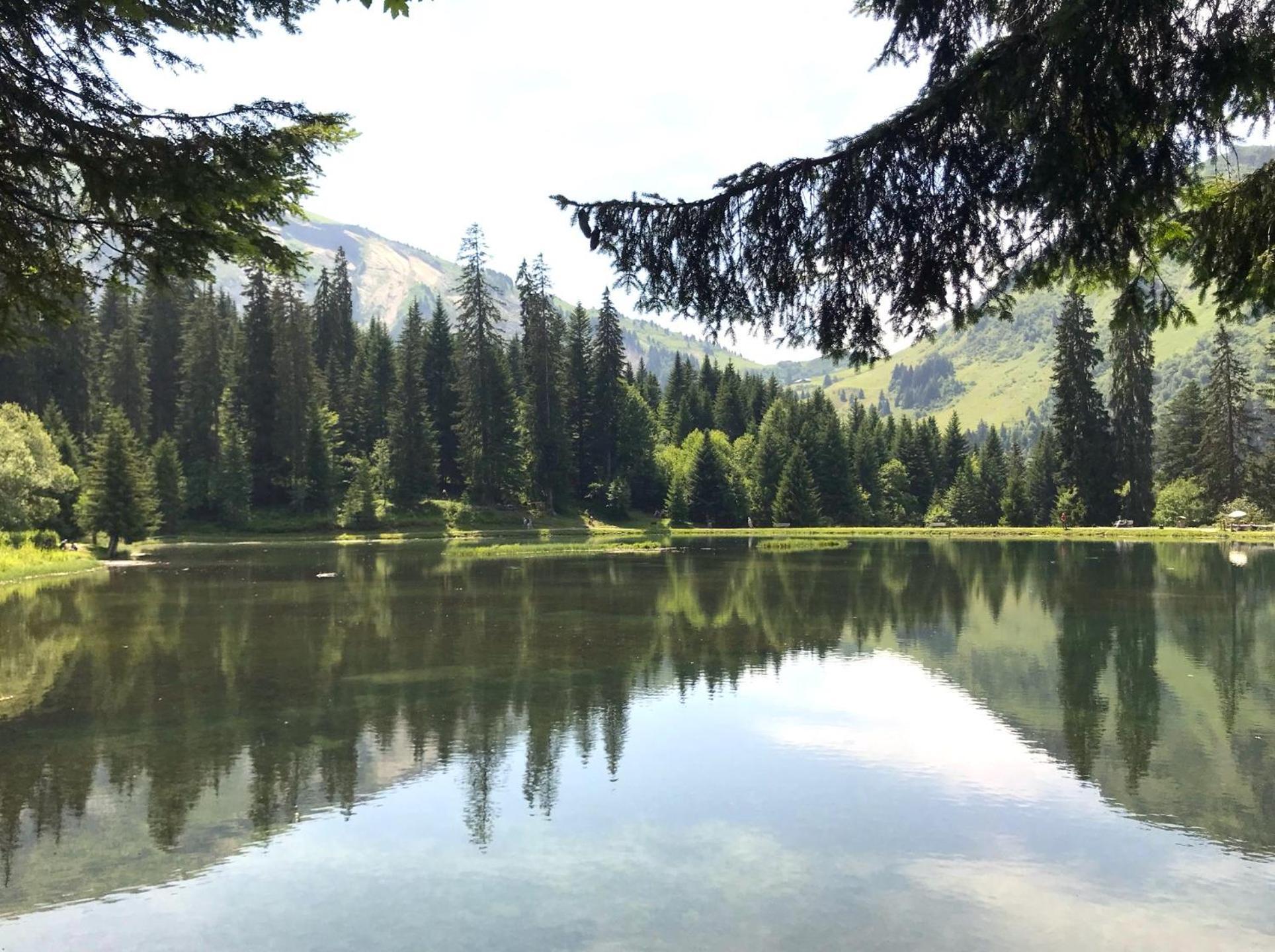 Sauna Privé Aux Portes Du Soleil Apartamento